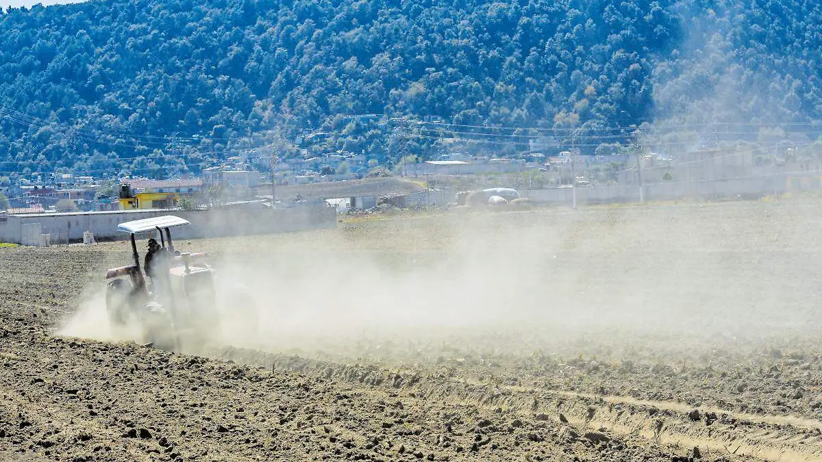 Trabajo en el campo